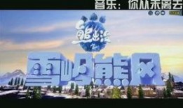 和平体验服最新活动爆料,揭秘神秘爆料，畅享刺激战场盛宴